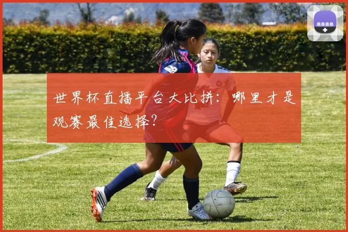 世界杯直播平台大比拼:哪里才是观赛最佳选择?